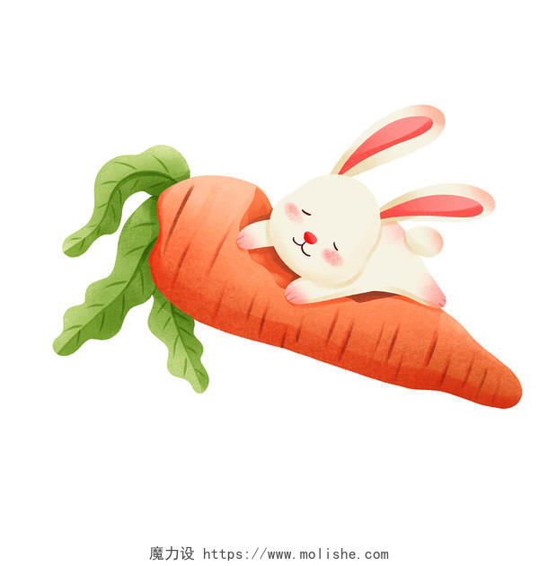 卡通手绘可爱小兔子和胡萝卜元素插画素材小白兔元素
